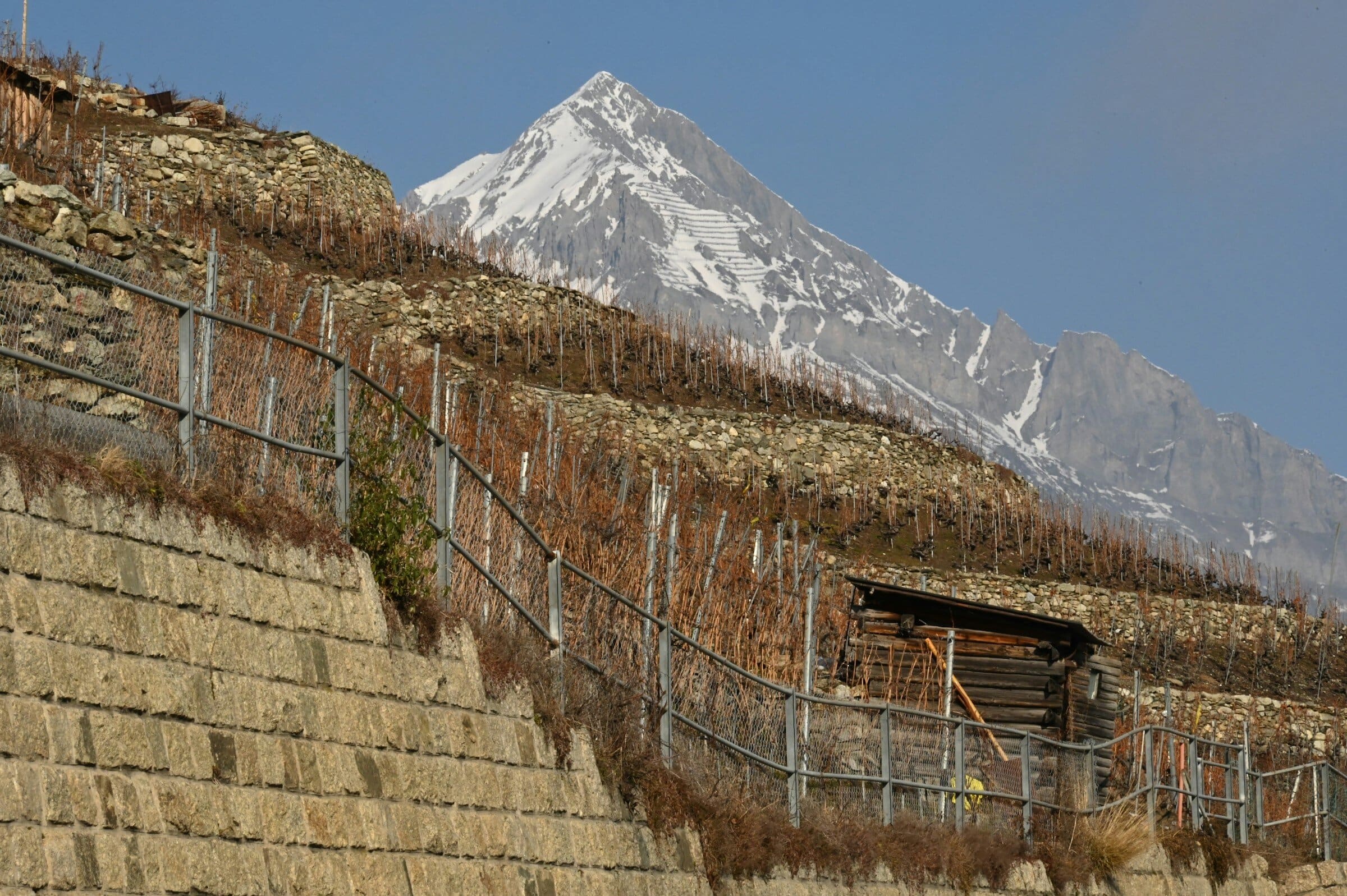 Vignes en terrasses et murs de pierre sèche en Valais central